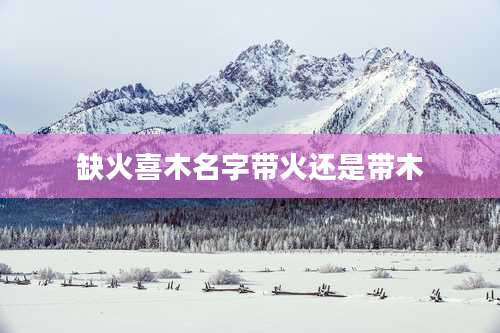 缺火喜木名字带火还是带木