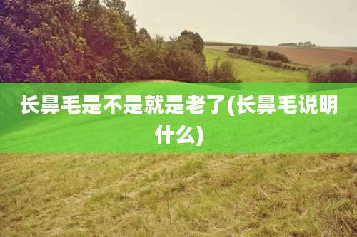 长鼻毛是不是就是老了(长鼻毛说明什么)