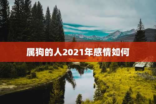 属狗的人2021年感情如何
