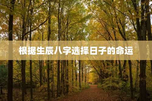 根据生辰八字选择日子的命运