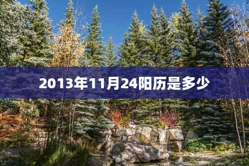 2013年11月24阳历是多少