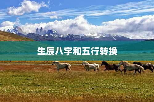生辰八字和五行转换
