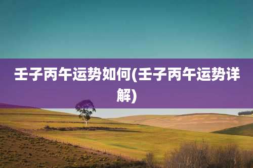 壬子丙午运势如何(壬子丙午运势详解)