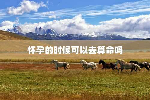 怀孕的时候可以去算命吗