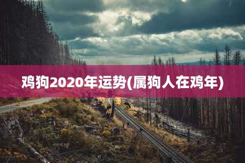 鸡狗2020年运势(属狗人在鸡年)