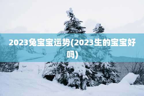 2023兔宝宝运势(2023生的宝宝好吗)
