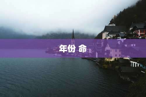 年份 命