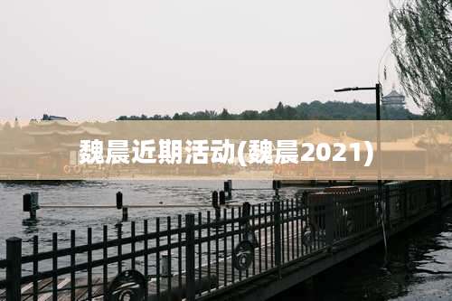 魏晨近期活动(魏晨2021)
