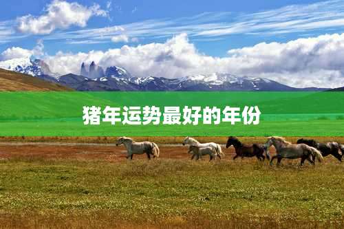 猪年运势最好的年份