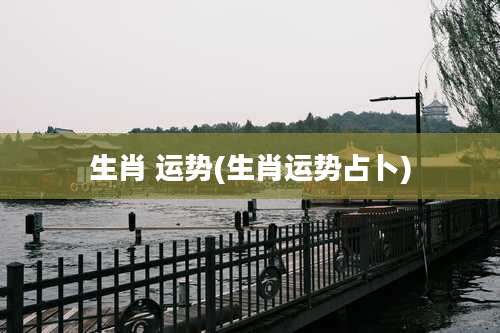 生肖 运势(生肖运势占卜)