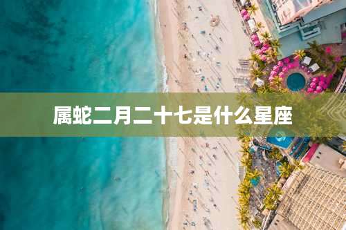 属蛇二月二十七是什么星座