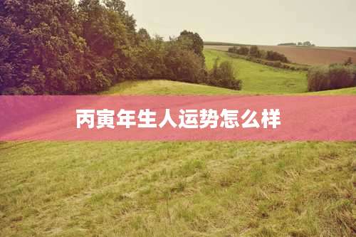 丙寅年生人运势怎么样