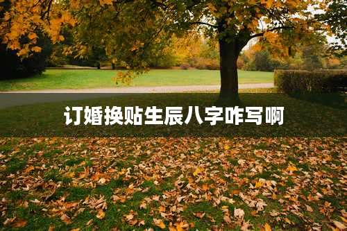 订婚换贴生辰八字咋写啊