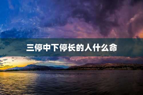 三停中下停长的人什么命