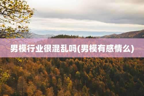 男模行业很混乱吗(男模有感情么)