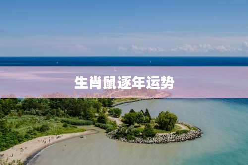 生肖鼠逐年运势