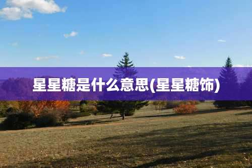星星糖是什么意思(星星糖饰)