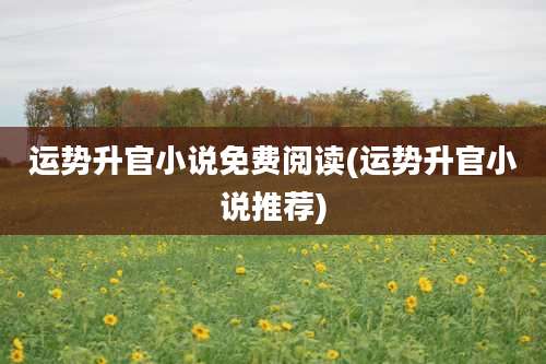 运势升官小说免费阅读(运势升官小说推荐)