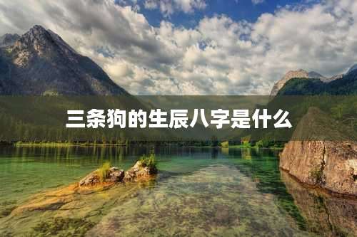 三条狗的生辰八字是什么