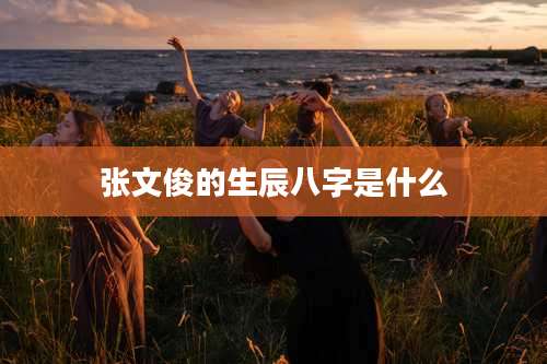 张文俊的生辰八字是什么