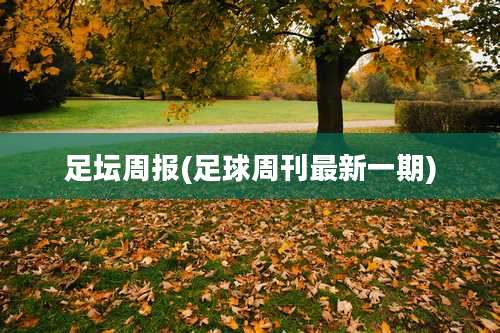 足坛周报(足球周刊最新一期)