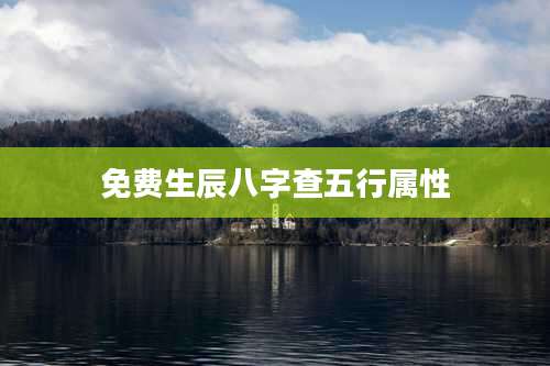 免费生辰八字查五行属性