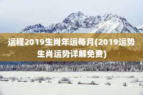 运程2019生肖年运每月(2019运势生肖运势详解免费)