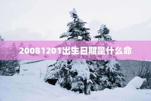20081201出生日期是什么命