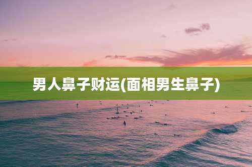 男人鼻子财运(面相男生鼻子)