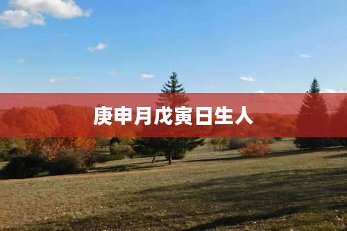 庚申月戊寅日生人