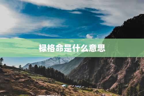 禄格命是什么意思