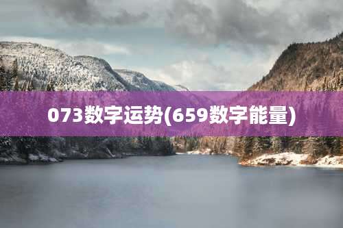 073数字运势(659数字能量)