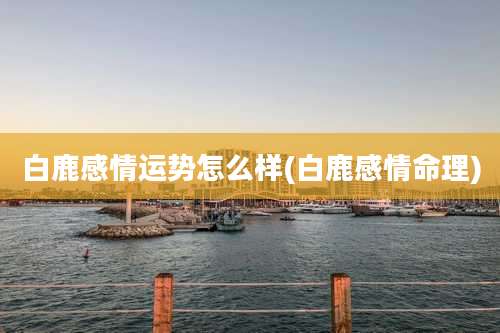 白鹿感情运势怎么样(白鹿感情命理)