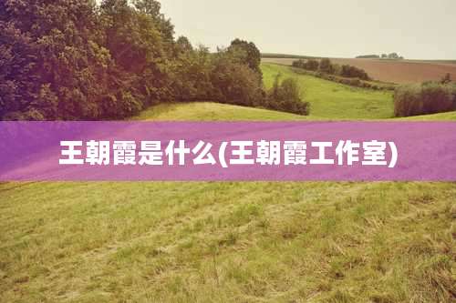 王朝霞是什么(王朝霞工作室)