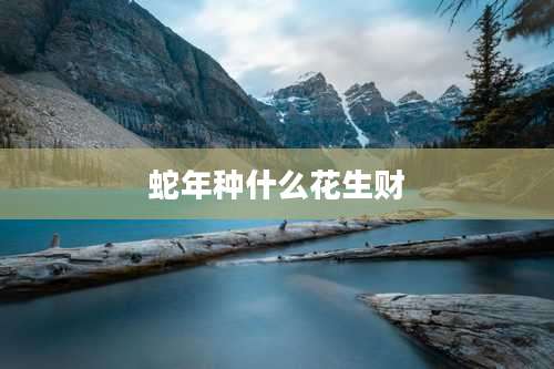 蛇年种什么花生财
