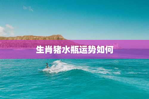 生肖猪水瓶运势如何