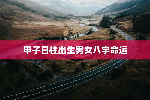 甲子日柱出生男女八字命运
