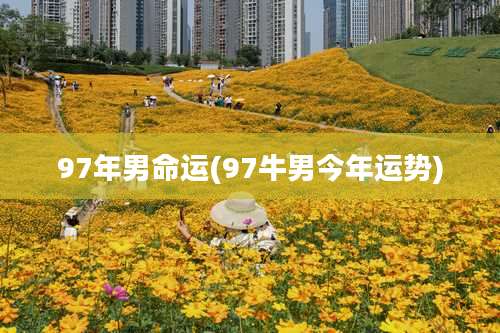97年男命运(97牛男今年运势)