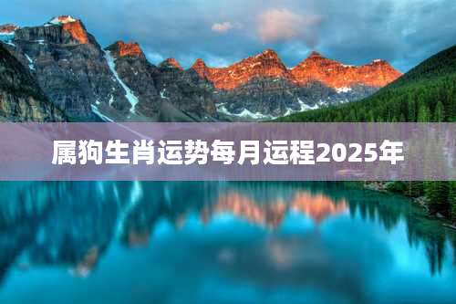 属狗生肖运势每月运程2025年