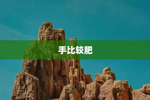 手比较肥