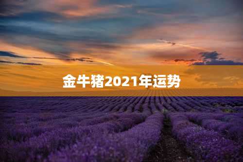 金牛猪2021年运势