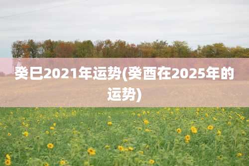 癸巳2021年运势(癸酉在2025年的运势)