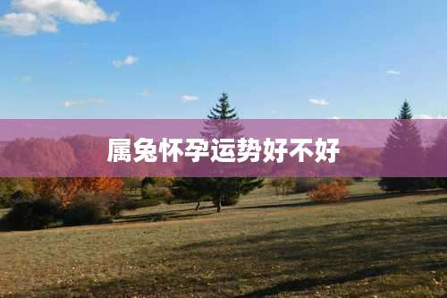 属兔怀孕运势好不好