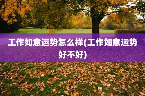 工作如意运势怎么样(工作如意运势好不好)