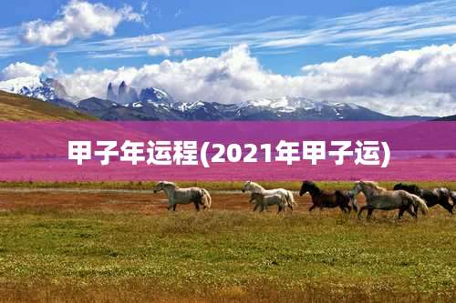 甲子年运程(2021年甲子运)