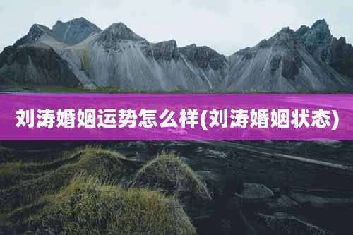 刘涛婚姻运势怎么样(刘涛婚姻状态)