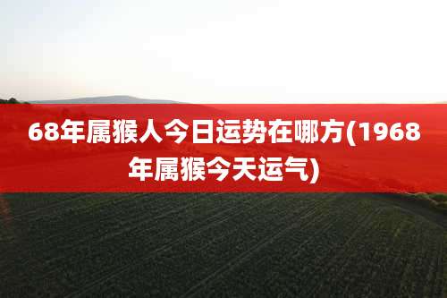 68年属猴人今日运势在哪方(1968年属猴今天运气)