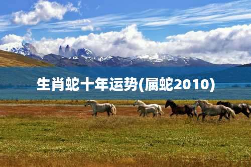 生肖蛇十年运势(属蛇2010)