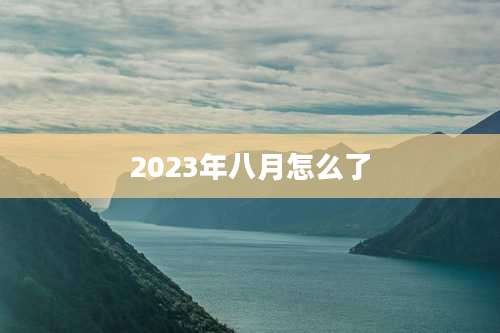 2023年八月怎么了