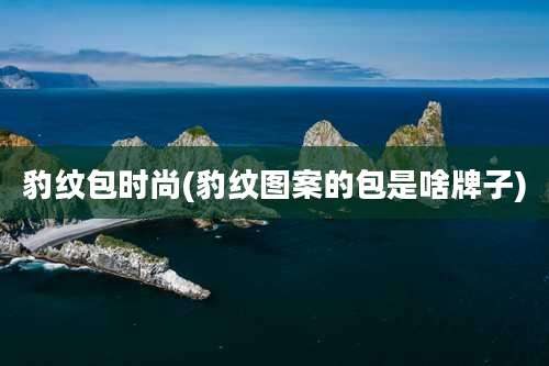 豹纹包时尚(豹纹图案的包是啥牌子)